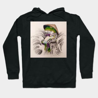 samurai frog Hoodie